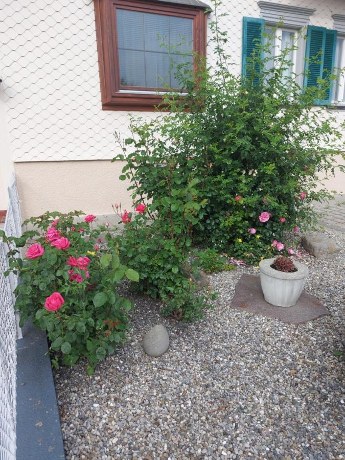 Ferienhaus Und Ferienappartements Brunner Höchst المظهر الخارجي الصورة